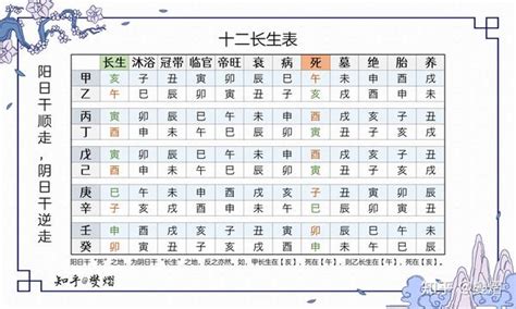 十二長生|十二长生表、十二长生的含义与用法详解